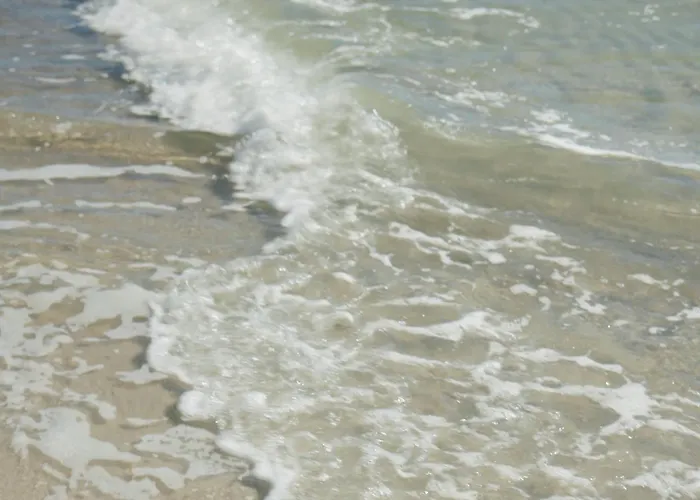 Vakantiehuis 2 Sea C 32 *