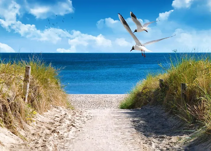 Vakantiehuis 2 Sea C 32